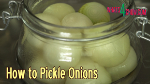 how to pickle onions,homemade pickled onions,how to make pickled onions,making pickled onions at home,pickled onions recipe,homemade pickled onions recipe,making pickled onions in spicy vinegar,best pickled onions recipe,pickled onions recipe video,how to make pickled onions video,making crispy pickled onions at home recipe, easy pickled onions, how to pickle onions and cucumbers, how to pickle onions youtube