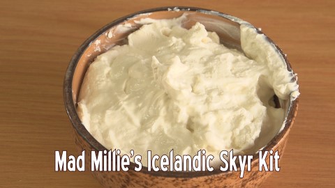 Mad Millie's Icelandic Skyr Kit - How to Make Skyr Cream Cheese